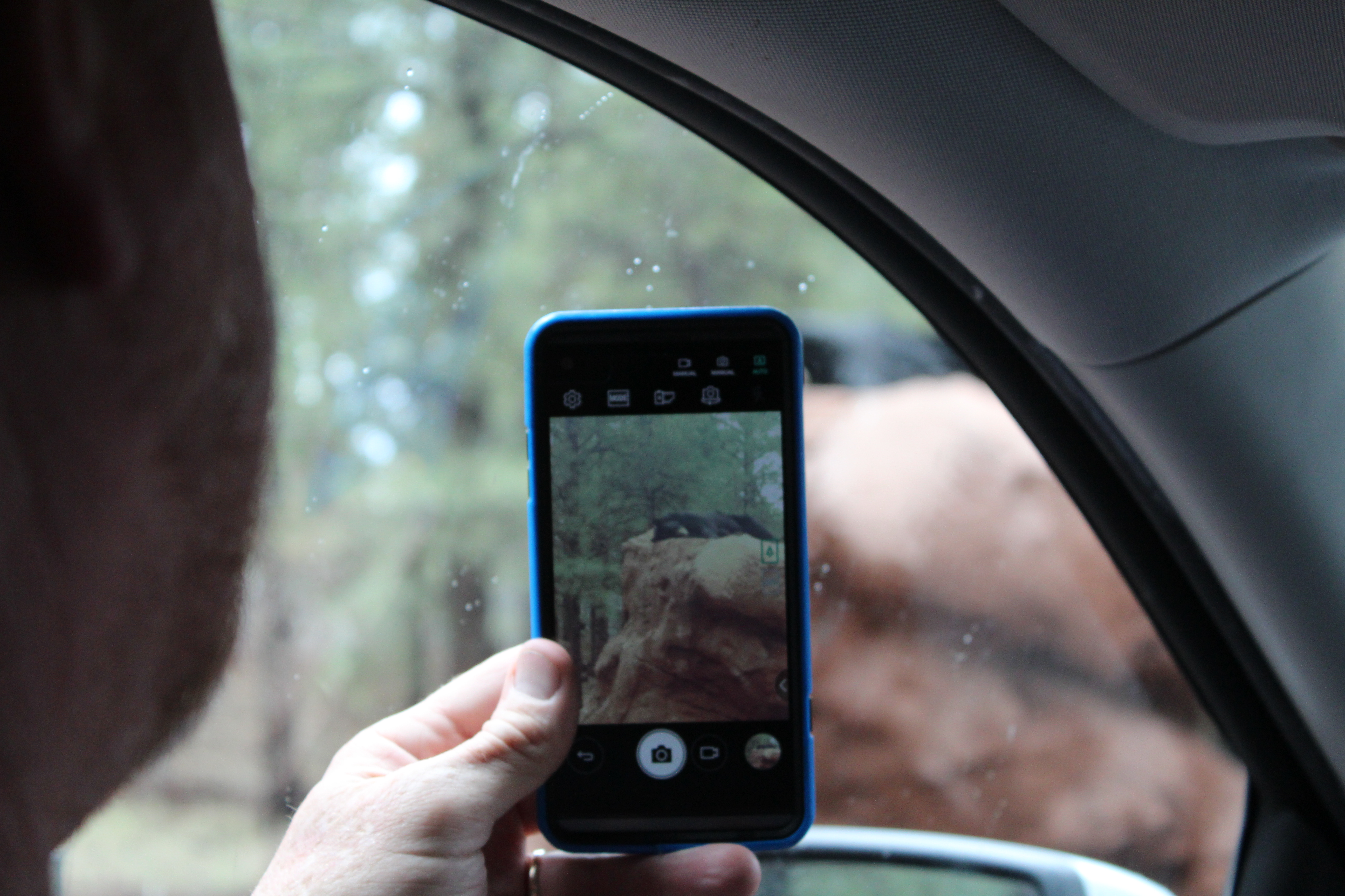 A picture of a man taking a photo of a bear with his cell phone.